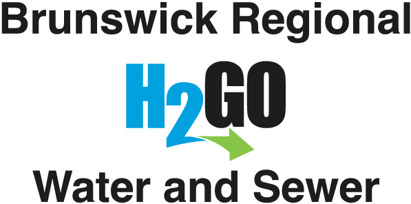 H2GO Logo